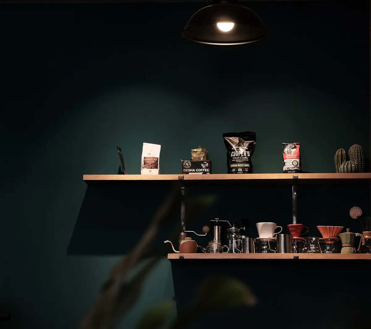 Elmwood Coffee Shops Compared: Which One Fits Working, Meeting, or Lingering