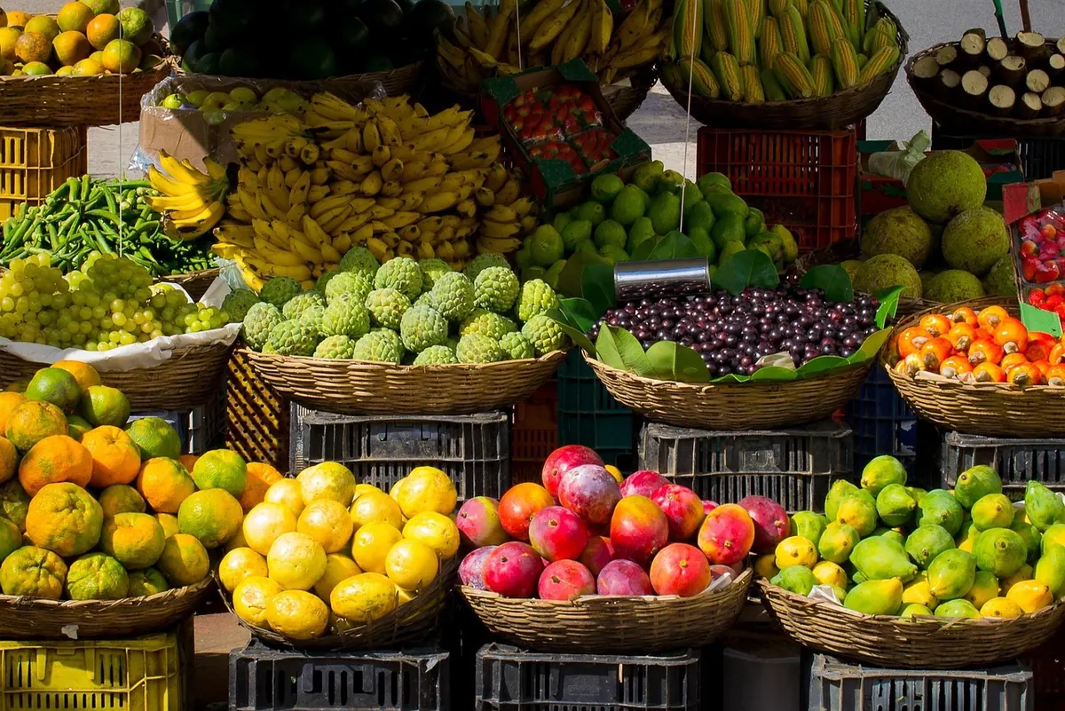 Elmwood Farmers Market Season Preview: Opening Day, Vendors, and Where to Park